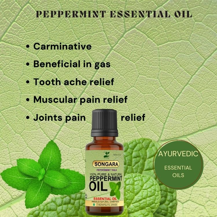 https://cdn.shopify.com/s/files/1/1857/6931/files/benefitsofPeppermintEssentialOil.jpg?v=1778160438