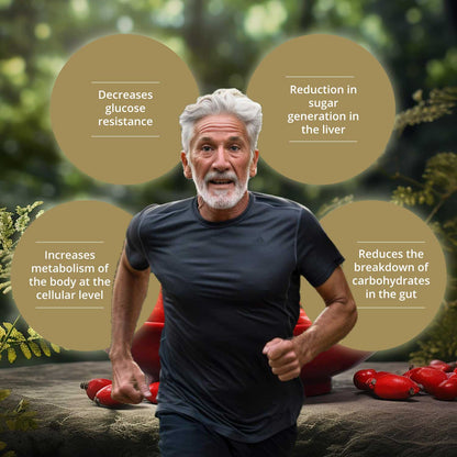 https://cdn.shopify.com/s/files/1/1857/6931/files/berberine-usp.jpg?v=1730881809