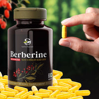 https://cdn.shopify.com/s/files/1/1857/6931/files/berberine-with-capsule-v3.jpg?v=1730881809