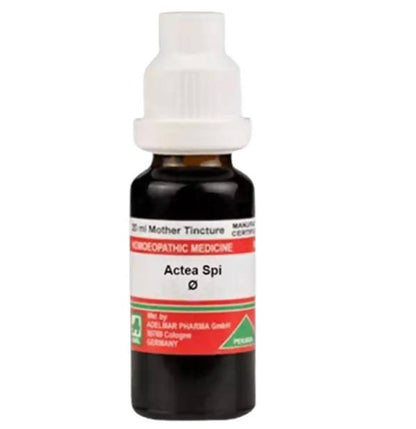 https://cdn.shopify.com/s/files/1/1857/6931/files/bfnWUjbGd5-126834.jpg?v=1762314810