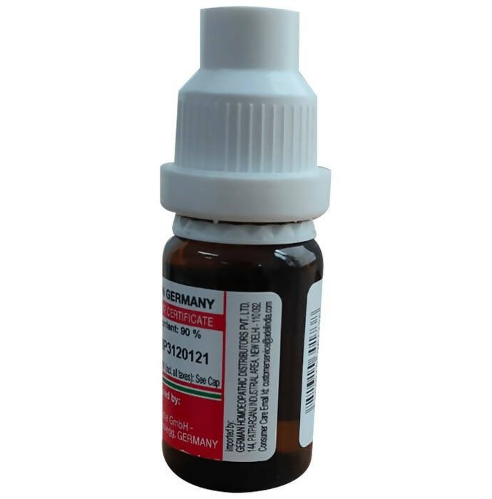 https://cdn.shopify.com/s/files/1/1857/6931/files/bgVxoSMCbP-982806.jpg?v=1736143261