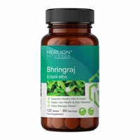 https://cdn.shopify.com/s/files/1/1857/6931/files/bhirngraj.jpg?v=1762577550