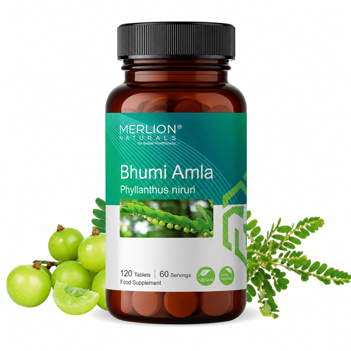 Image 1 of 120 tabs for the product Merlion Naturals Bhumi Amla 500mg Tablets