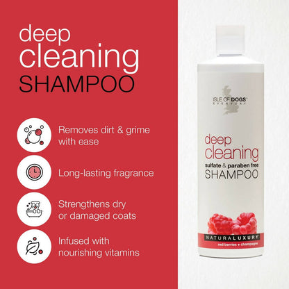 https://cdn.shopify.com/s/files/1/1857/6931/products/bic4YfhmrX.jpg?v=1662465933