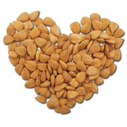 Image 5 of Sattvic Foods Sweet Apricot Kernels | Immune Boosting & Heart Healthy