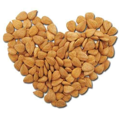 Image 5 of Sattvic Foods Sweet Apricot Kernels | Immune Boosting & Heart Healthy