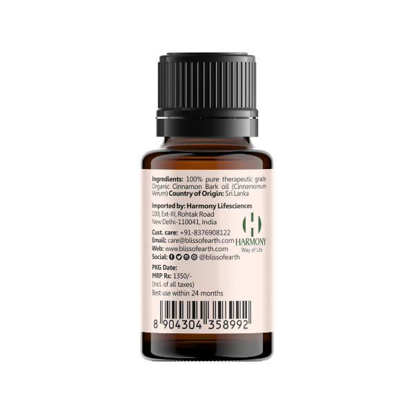 https://cdn.shopify.com/s/files/1/1857/6931/products/bjZ5zuKf89.jpg?v=1651217936