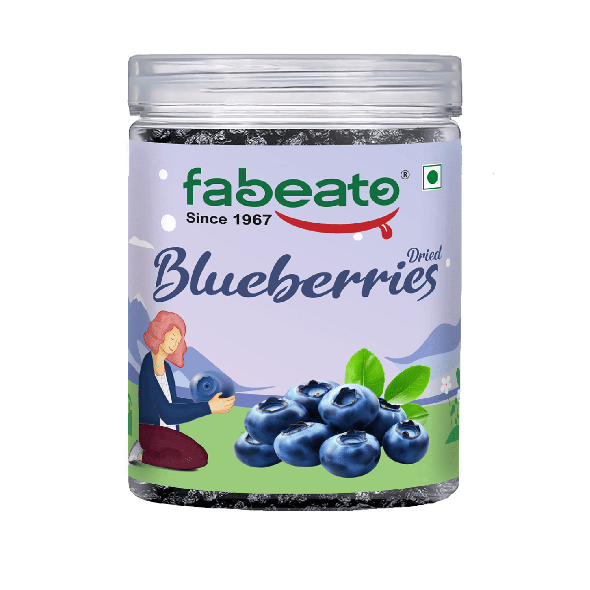 Image 1 of Fabeato Premium Dried Whole Blueberries 250g