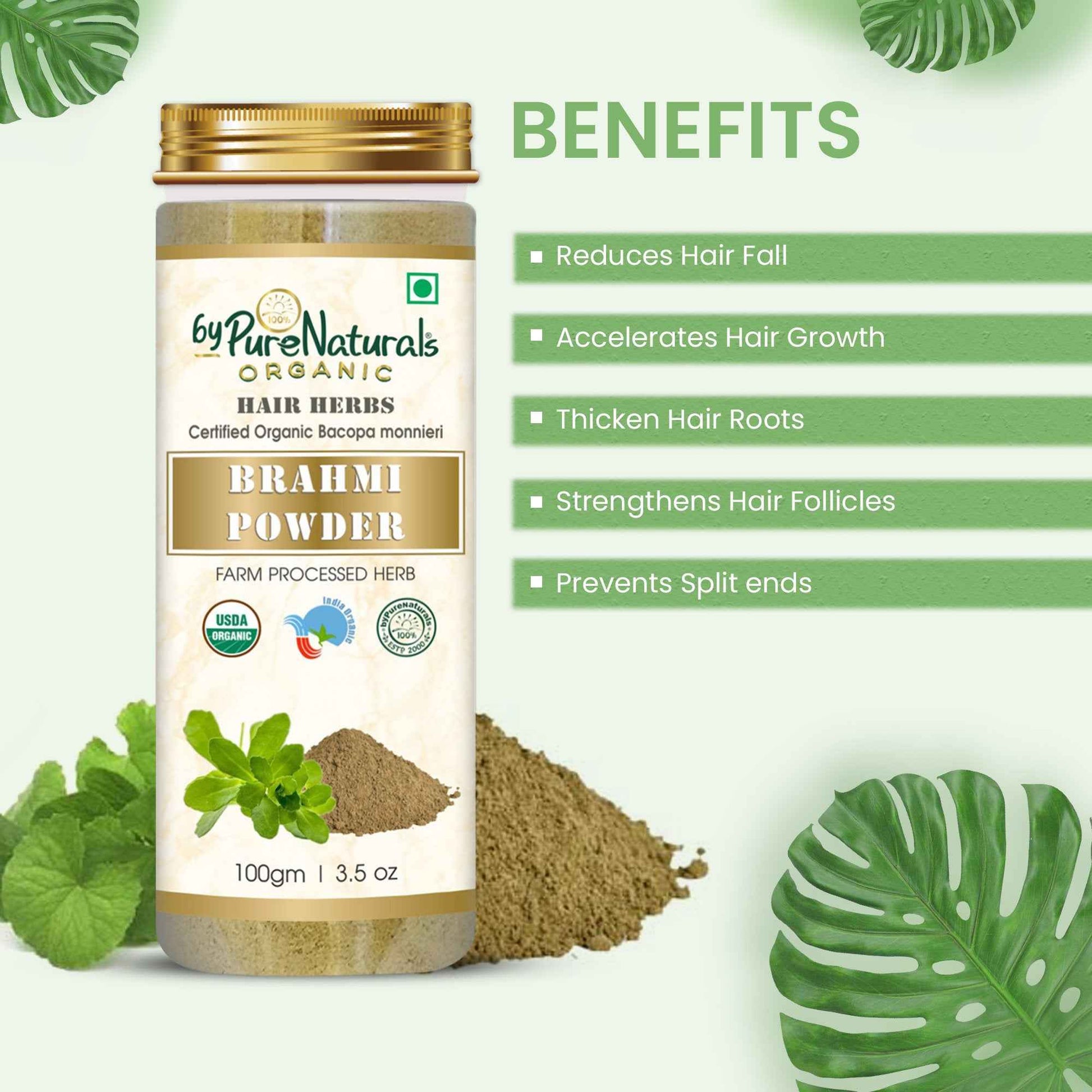 https://cdn.shopify.com/s/files/1/1857/6931/files/brahmi-powder-organic-benefits.jpg?v=1777982357