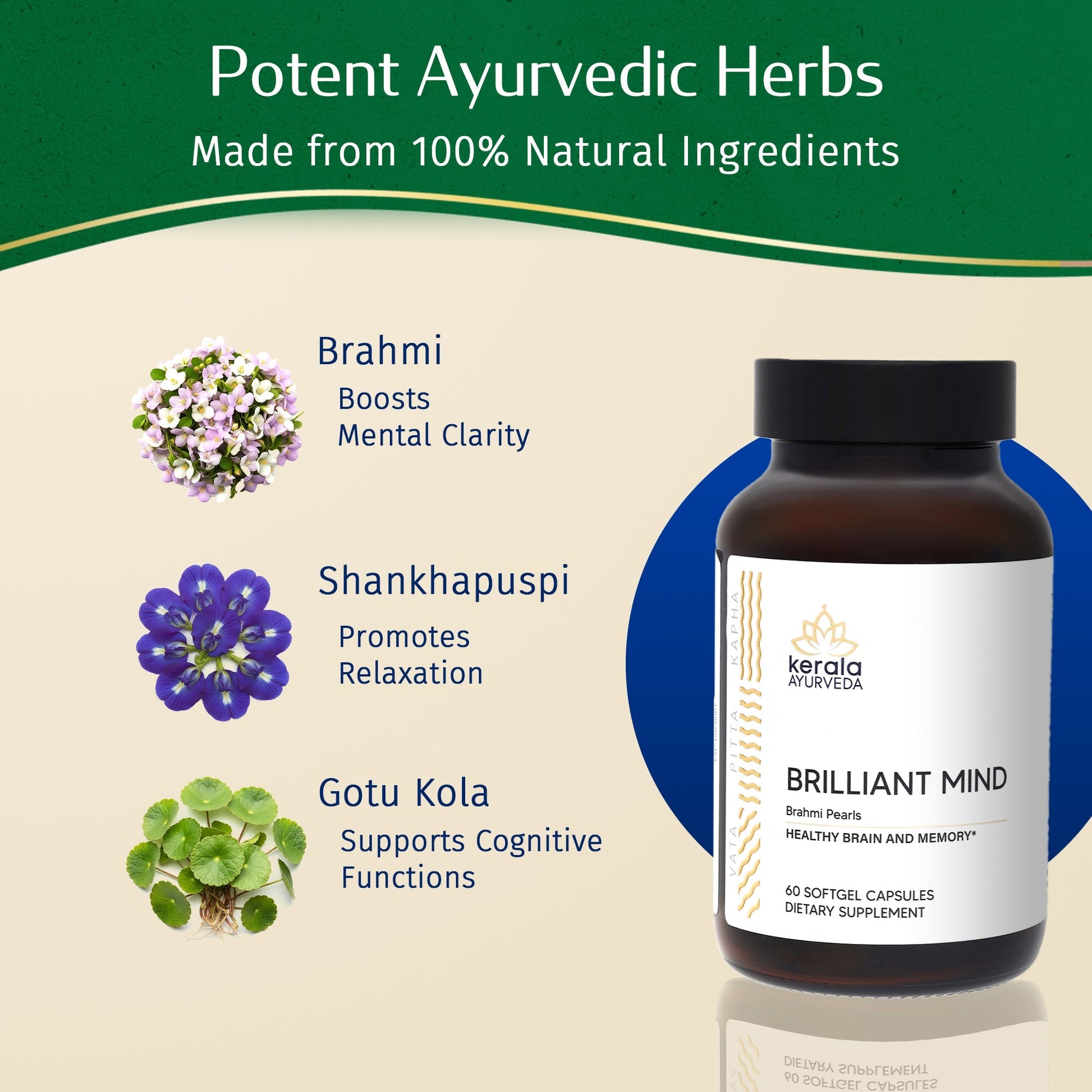 https://cdn.shopify.com/s/files/1/1857/6931/files/brahmi_2.jpg?v=1773821312