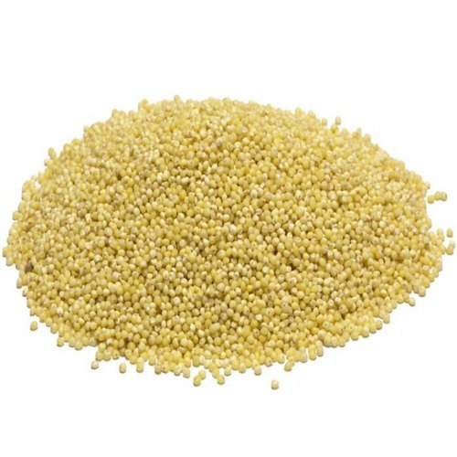 https://cdn.shopify.com/s/files/1/1857/6931/products/brown-little-millet-500x500.jpg?v=1762292216