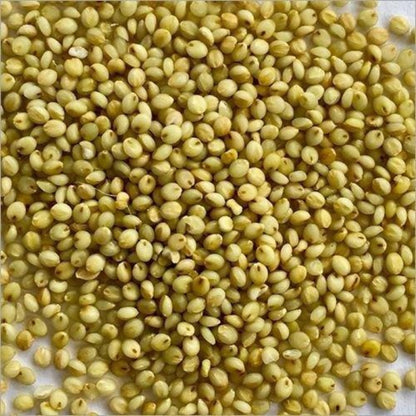 https://cdn.shopify.com/s/files/1/1857/6931/products/brown-top-millet-500x500.jpg?v=1762292263