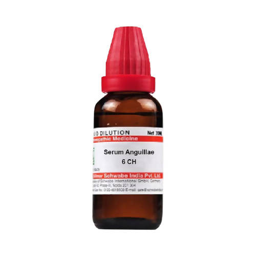 Image 1 of 6 CH / 30 ml for the product Dr. Willmar Schwabe India Serum Anguillae Dilution