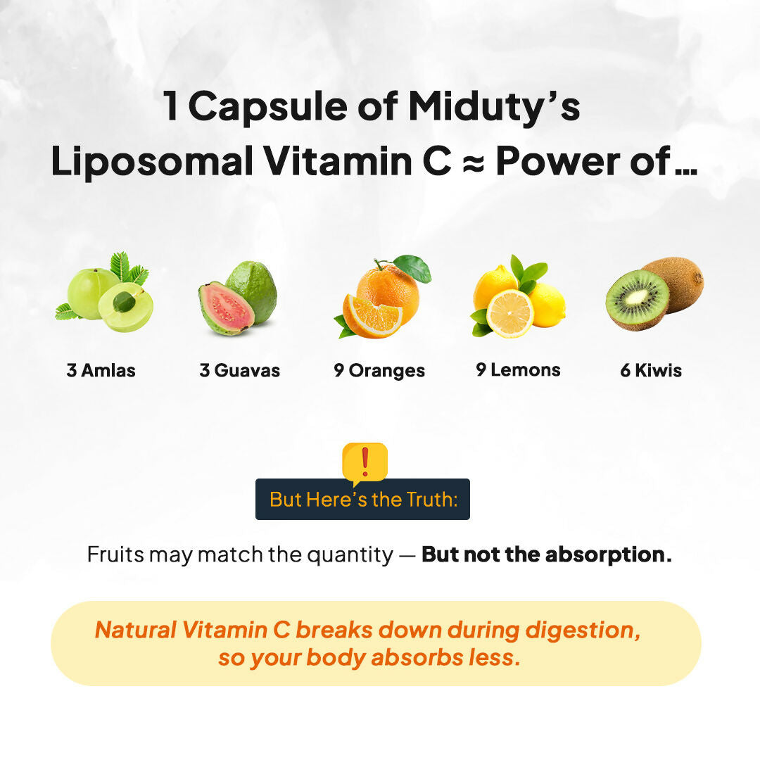 https://cdn.shopify.com/s/files/1/1857/6931/files/bsPKEJdNOR.jpg?v=1767361210