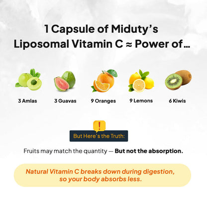 https://cdn.shopify.com/s/files/1/1857/6931/files/bsPKEJdNOR.jpg?v=1767361210