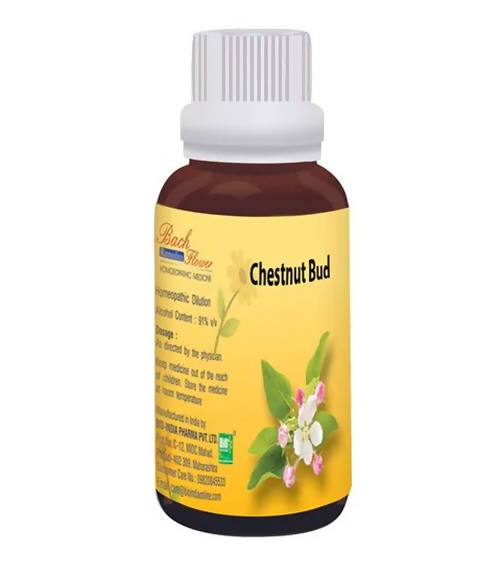 https://cdn.shopify.com/s/files/1/1857/6931/products/bsqdRT51c0.jpg?v=1762313369