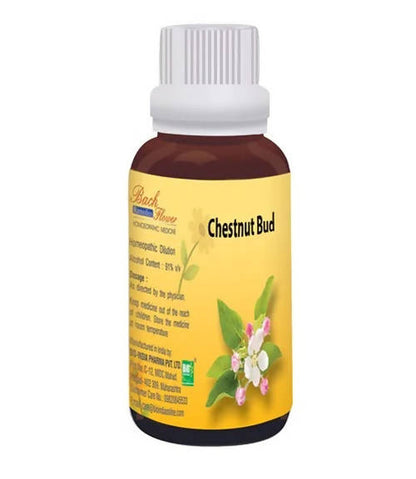 https://cdn.shopify.com/s/files/1/1857/6931/products/bsqdRT51c0.jpg?v=1762313369