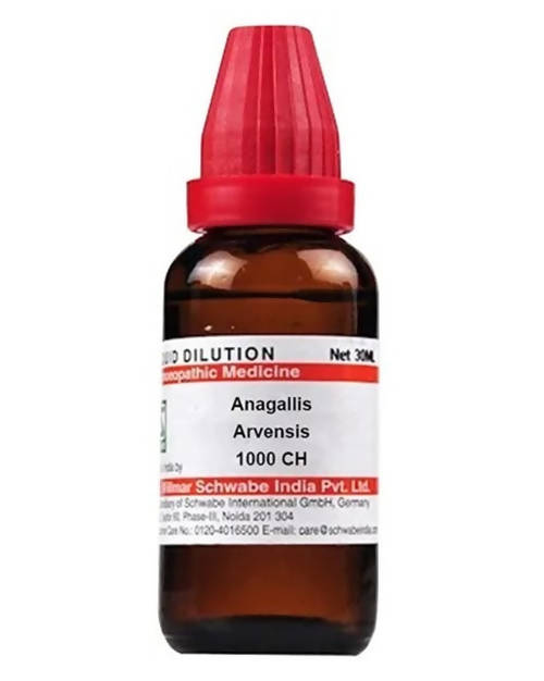 https://cdn.shopify.com/s/files/1/1857/6931/products/bu2LW4uACy.jpg?v=1640930360