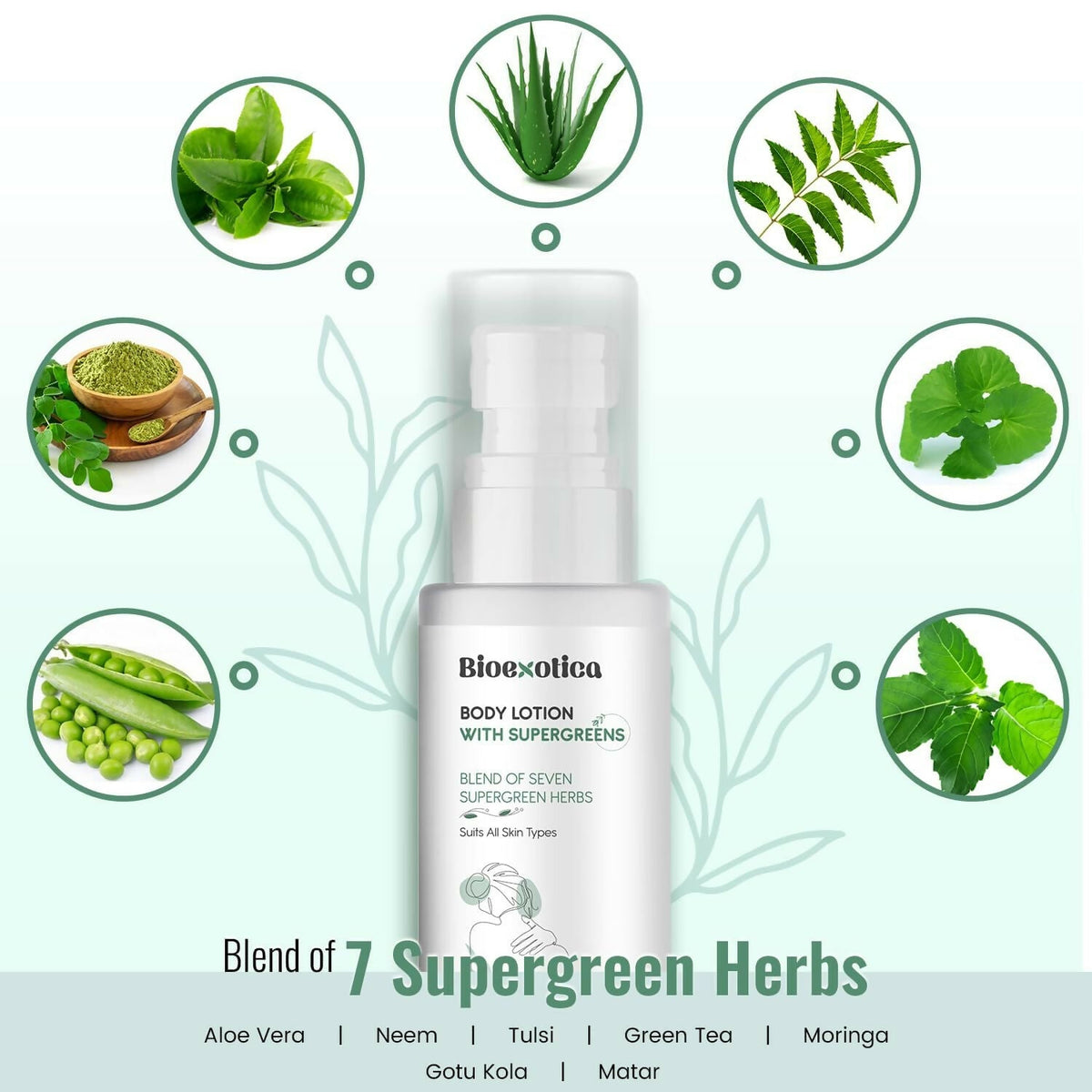 https://cdn.shopify.com/s/files/1/1857/6931/files/buO0wcpdrX.jpg?v=1728132193