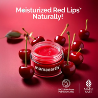 https://cdn.shopify.com/s/files/1/1857/6931/files/bxzzvTLdDp.png?v=1737109671