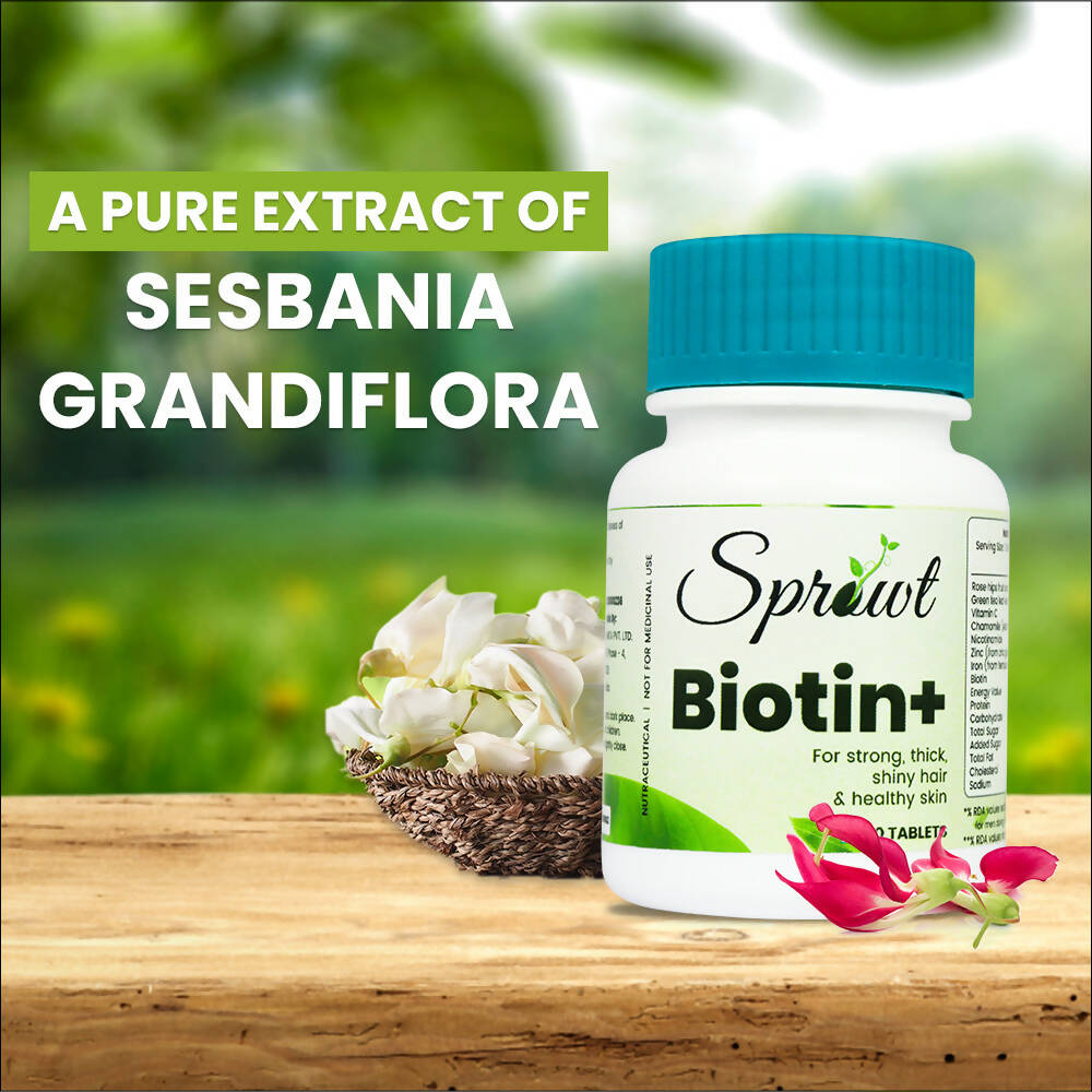 https://cdn.shopify.com/s/files/1/1857/6931/products/byBnbADIAK.jpg?v=1701177061