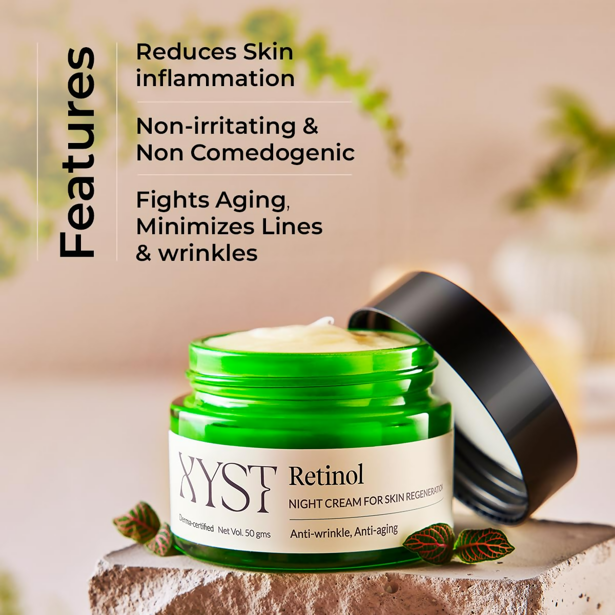 https://cdn.shopify.com/s/files/1/1857/6931/files/bySFIBYpFk.png?v=1735636643