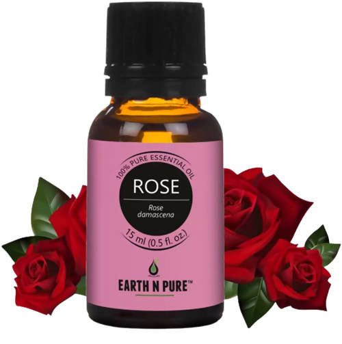 https://cdn.shopify.com/s/files/1/1857/6931/products/c1JT4AU3ob.jpg?v=1646460671