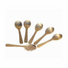Image 1 of Default Title for the product HAZEL Brass Masala Spoon Set of 6