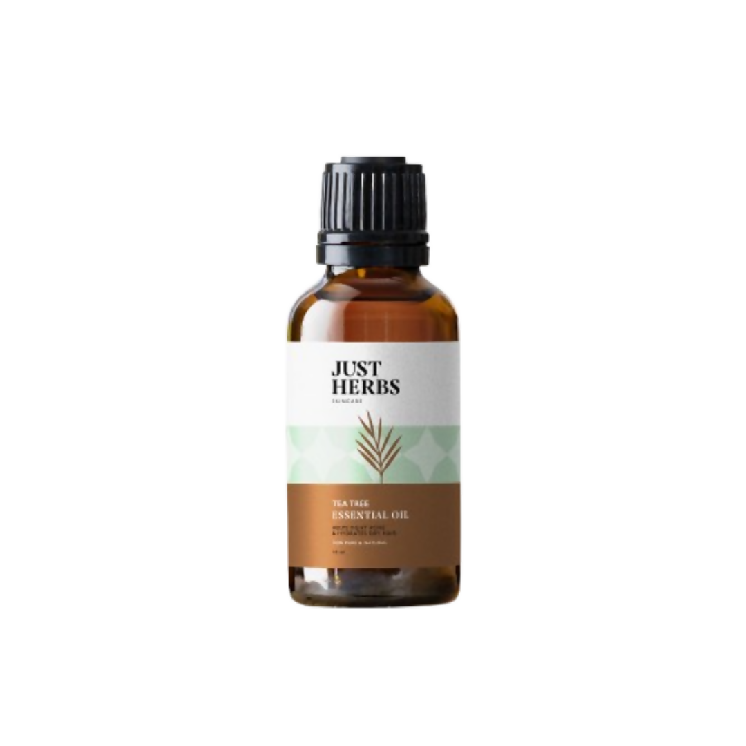https://cdn.shopify.com/s/files/1/1857/6931/files/c2XeIjlsnA.png?v=1739423998