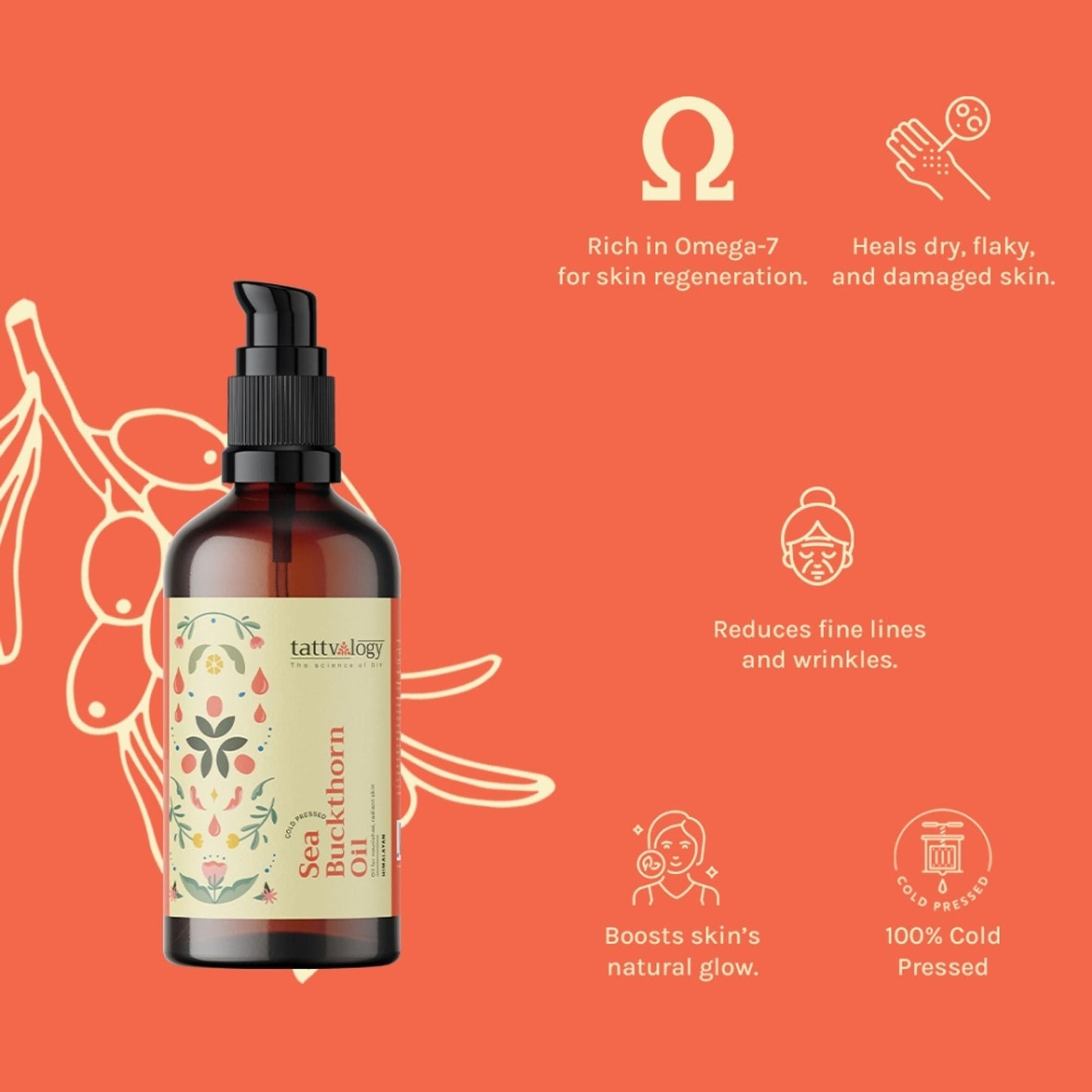 https://cdn.shopify.com/s/files/1/1857/6931/files/c442a268904304400066_2.jpg?v=1769755558