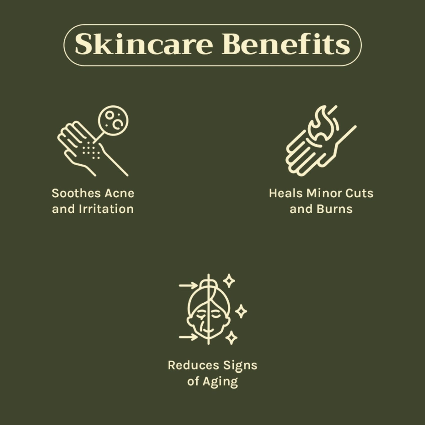 https://cdn.shopify.com/s/files/1/1857/6931/files/c442a268904405940652_3.jpg?v=1769755681