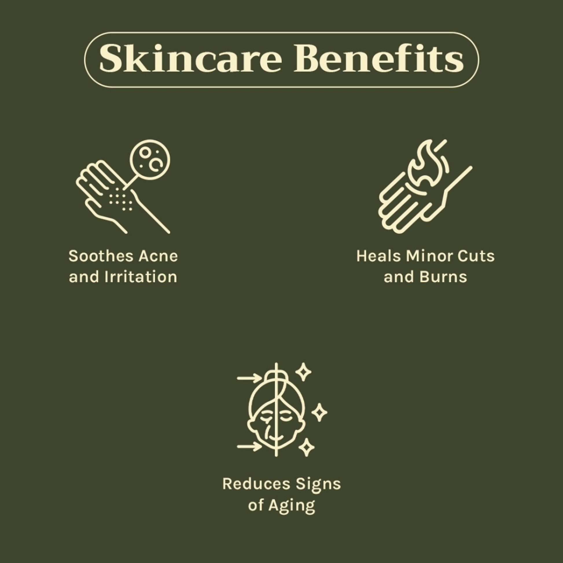 https://cdn.shopify.com/s/files/1/1857/6931/files/c442a268904405940652_3.jpg?v=1769755681