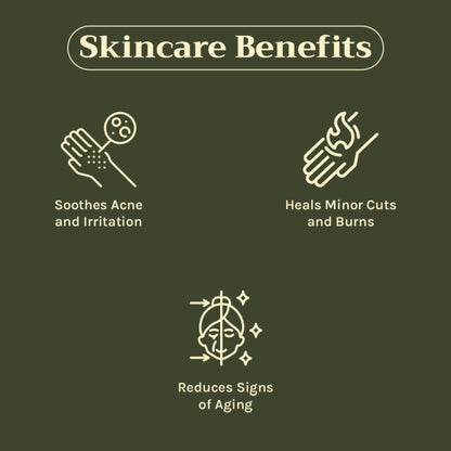 https://cdn.shopify.com/s/files/1/1857/6931/files/c442a268904405940652_3.jpg?v=1769755681