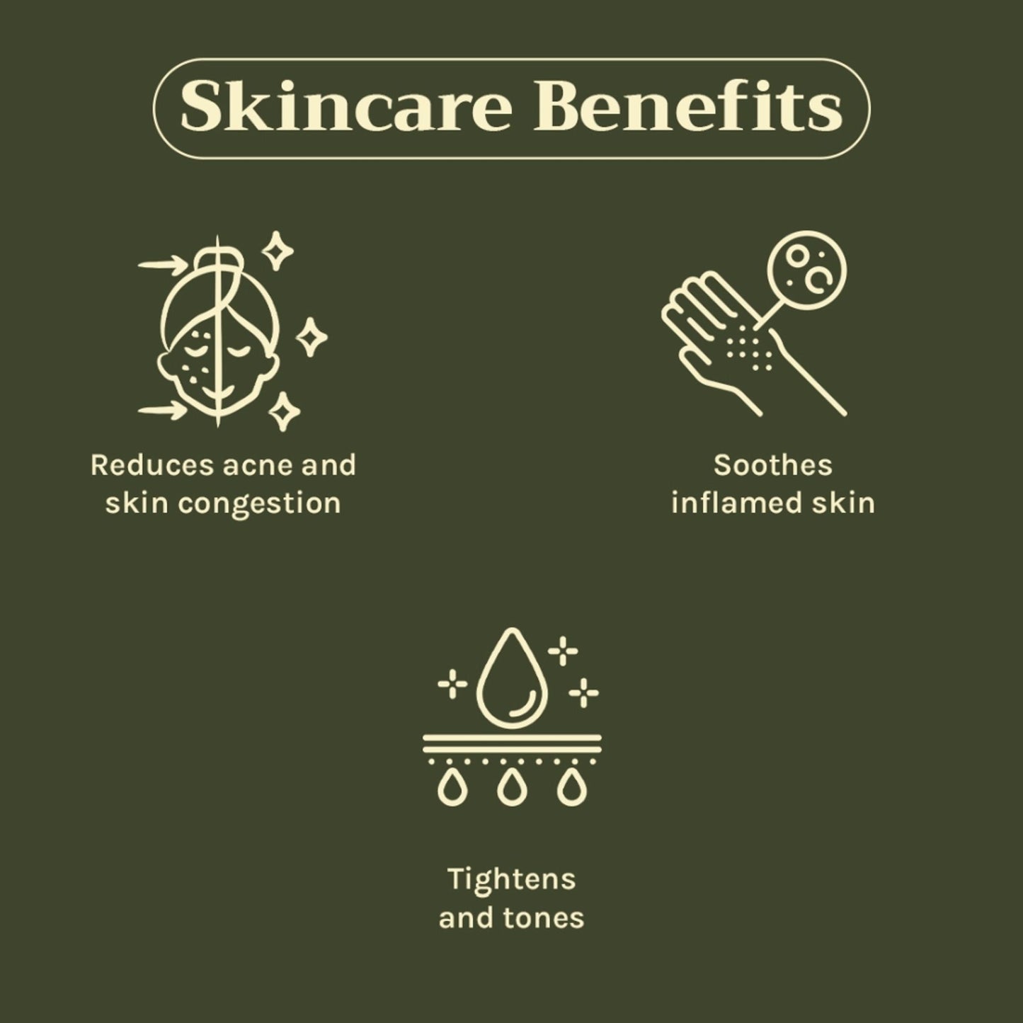 https://cdn.shopify.com/s/files/1/1857/6931/files/c442a268904405940706_3.jpg?v=1769755670