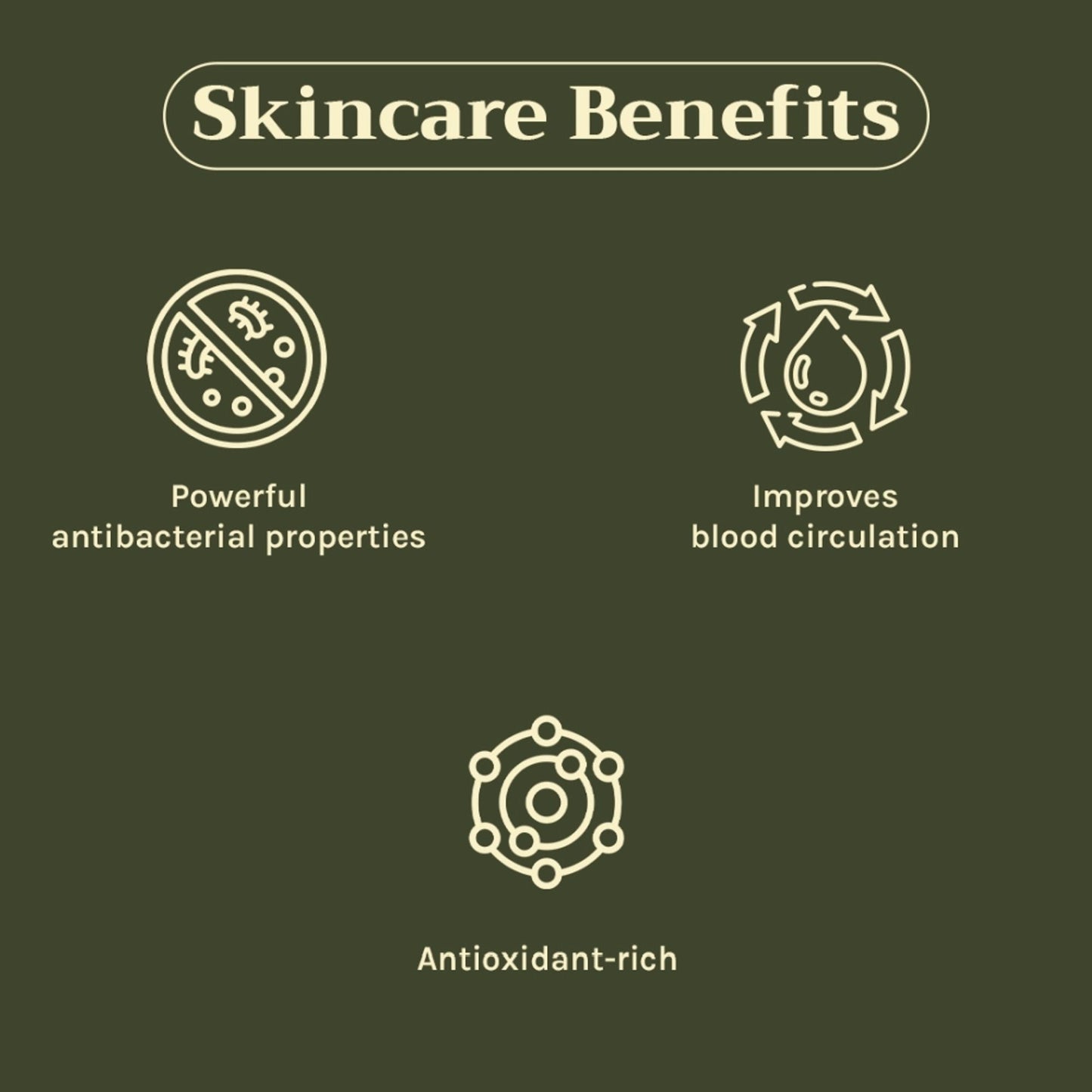 https://cdn.shopify.com/s/files/1/1857/6931/files/c442a268904405940812_3.jpg?v=1769755701