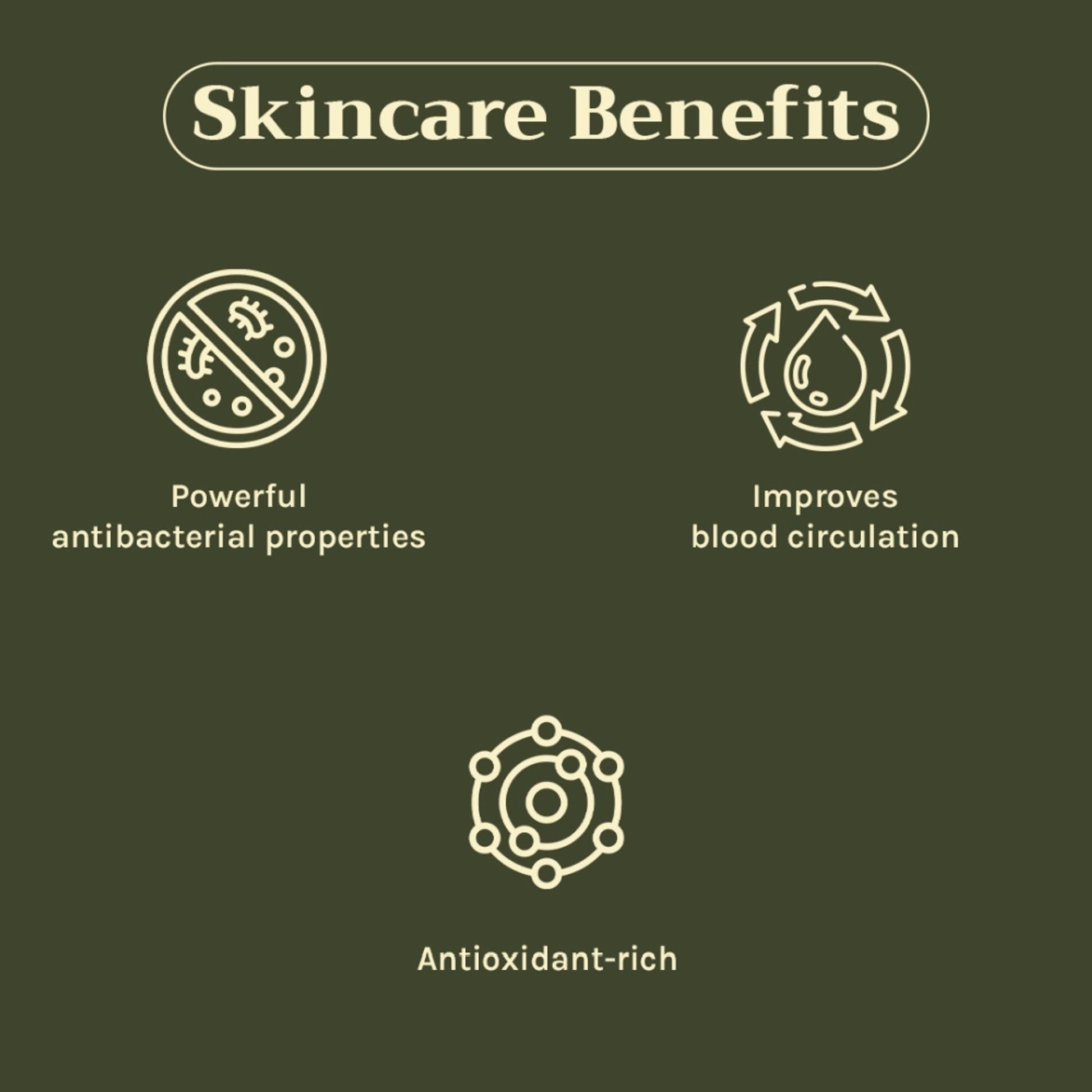 https://cdn.shopify.com/s/files/1/1857/6931/files/c442a268904405940812_3.jpg?v=1769755701