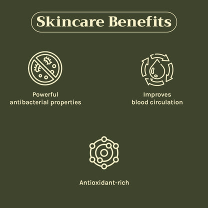 https://cdn.shopify.com/s/files/1/1857/6931/files/c442a268904405940812_3.jpg?v=1769755701