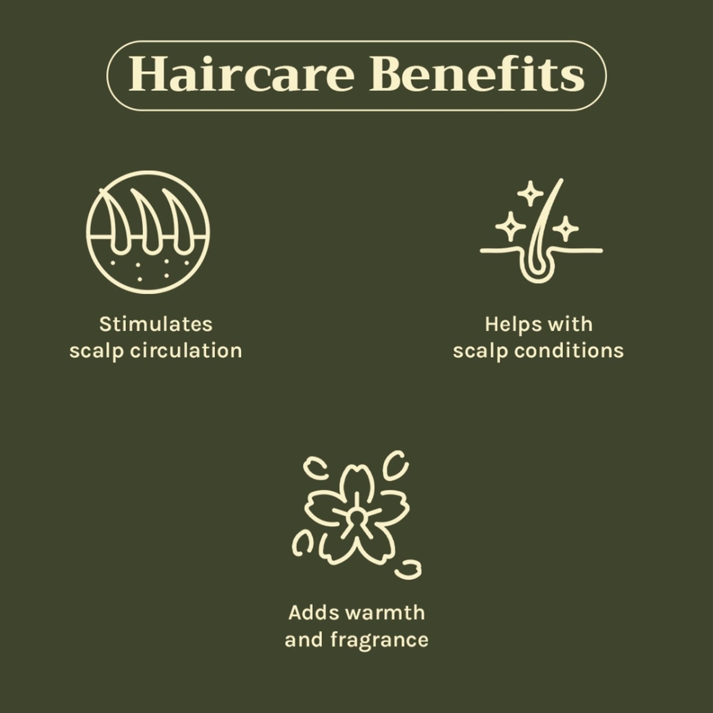 https://cdn.shopify.com/s/files/1/1857/6931/files/c442a268904405940812_4.jpg?v=1769755701
