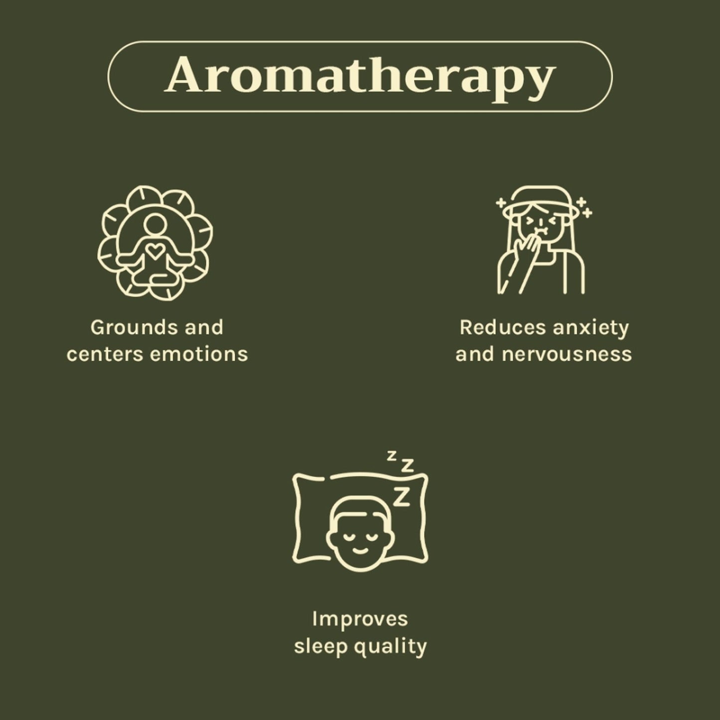 https://cdn.shopify.com/s/files/1/1857/6931/files/c442a268904405940836_2.jpg?v=1769755693