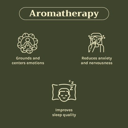 https://cdn.shopify.com/s/files/1/1857/6931/files/c442a268904405940836_2.jpg?v=1769755693