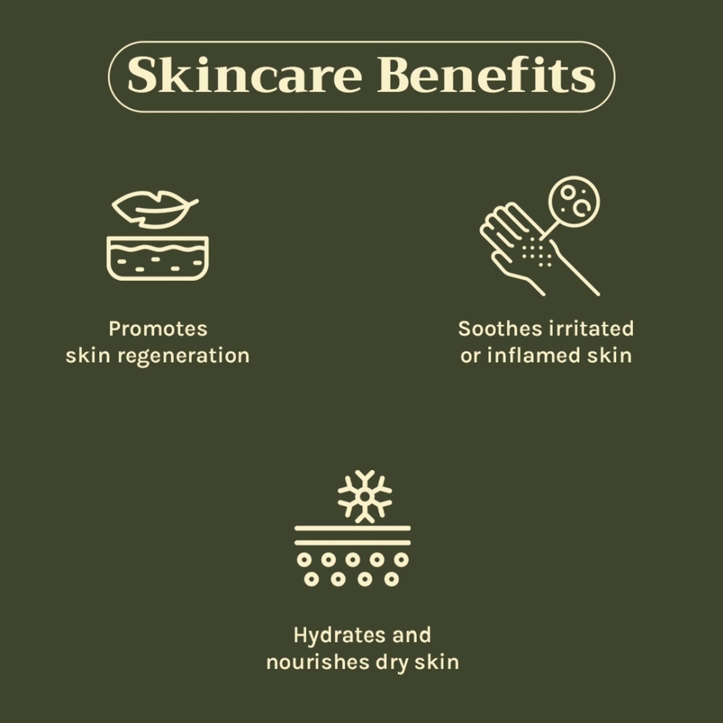 https://cdn.shopify.com/s/files/1/1857/6931/files/c442a268904405940836_3.jpg?v=1769755693