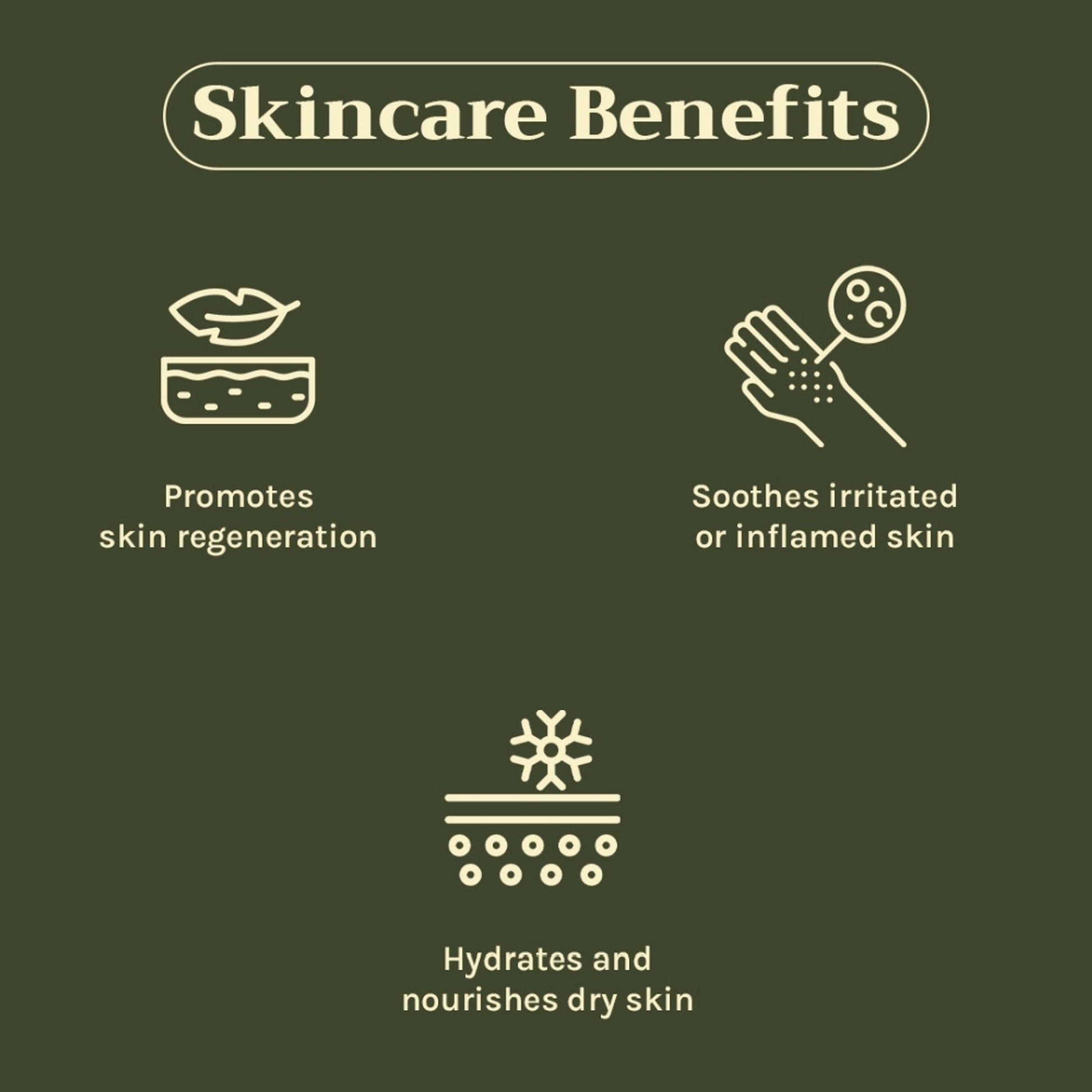https://cdn.shopify.com/s/files/1/1857/6931/files/c442a268904405940836_3.jpg?v=1769755693