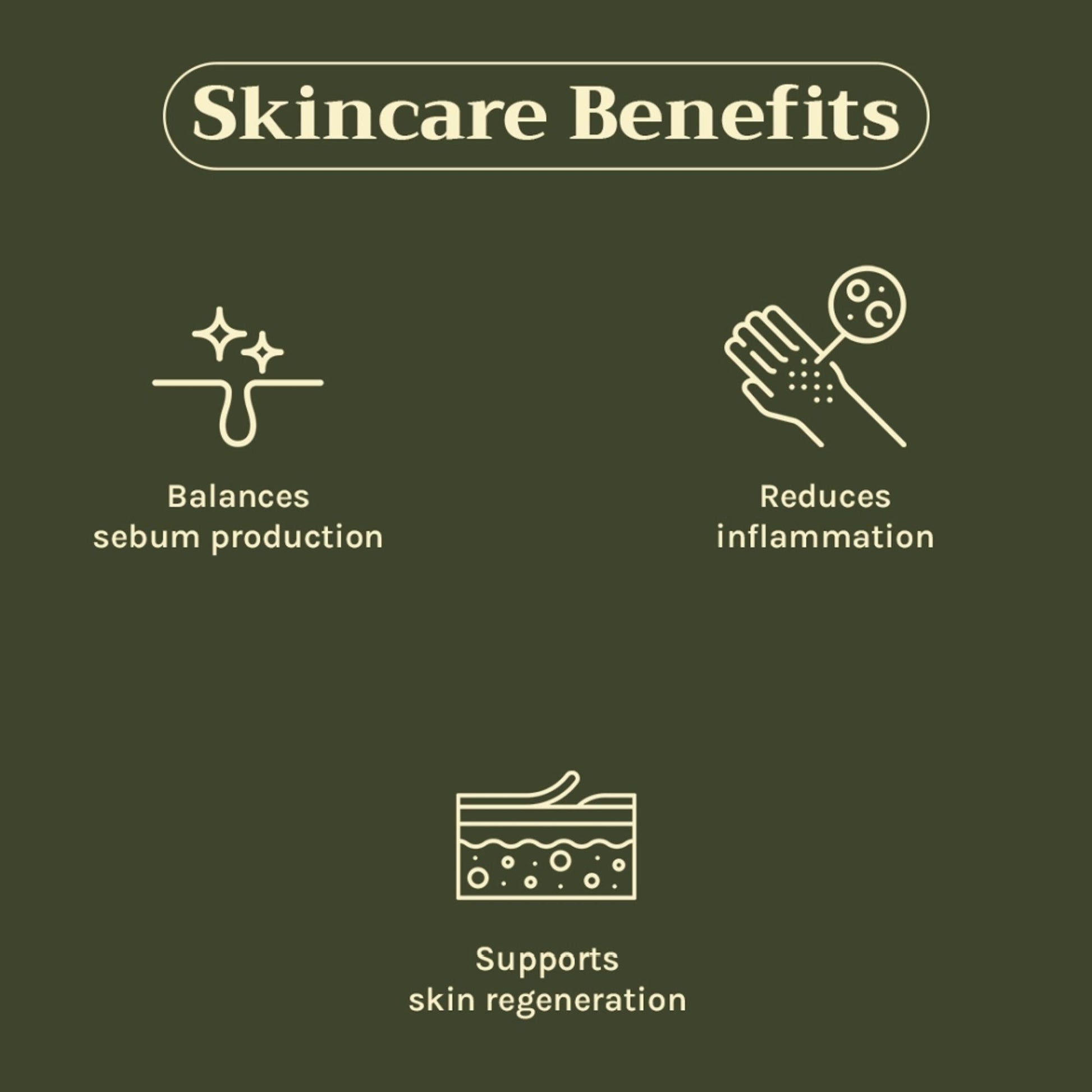 https://cdn.shopify.com/s/files/1/1857/6931/files/c442a268904405940911_3.jpg?v=1769755662