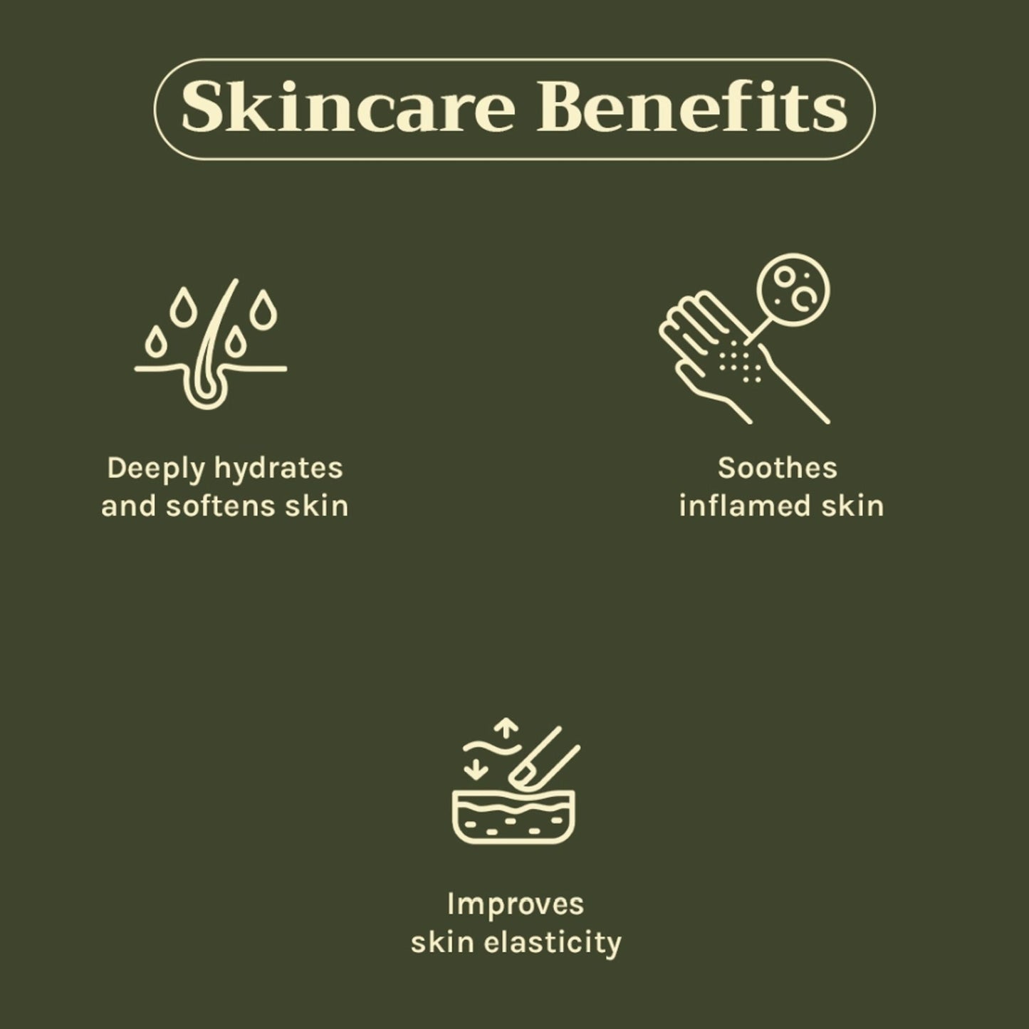 https://cdn.shopify.com/s/files/1/1857/6931/files/c442a268904405941024_3.jpg?v=1769755689