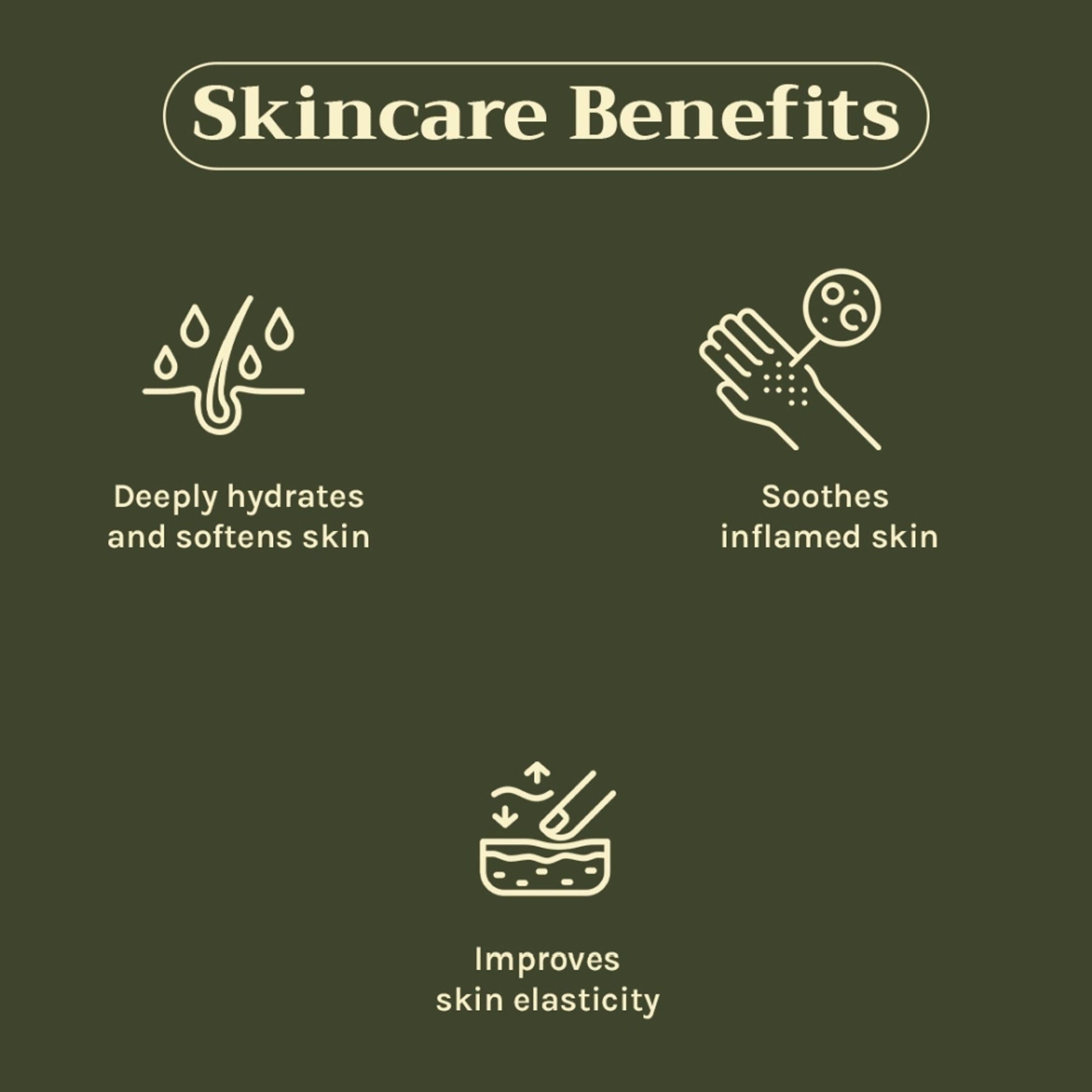https://cdn.shopify.com/s/files/1/1857/6931/files/c442a268904405941024_3.jpg?v=1769755689