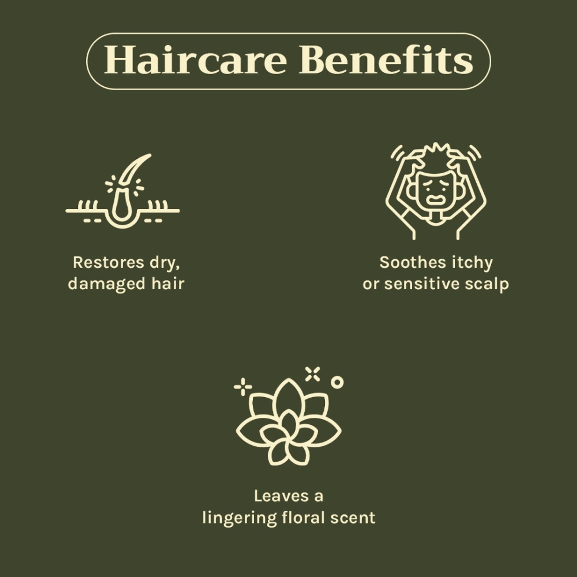 https://cdn.shopify.com/s/files/1/1857/6931/files/c442a268904405941024_4.jpg?v=1769755688