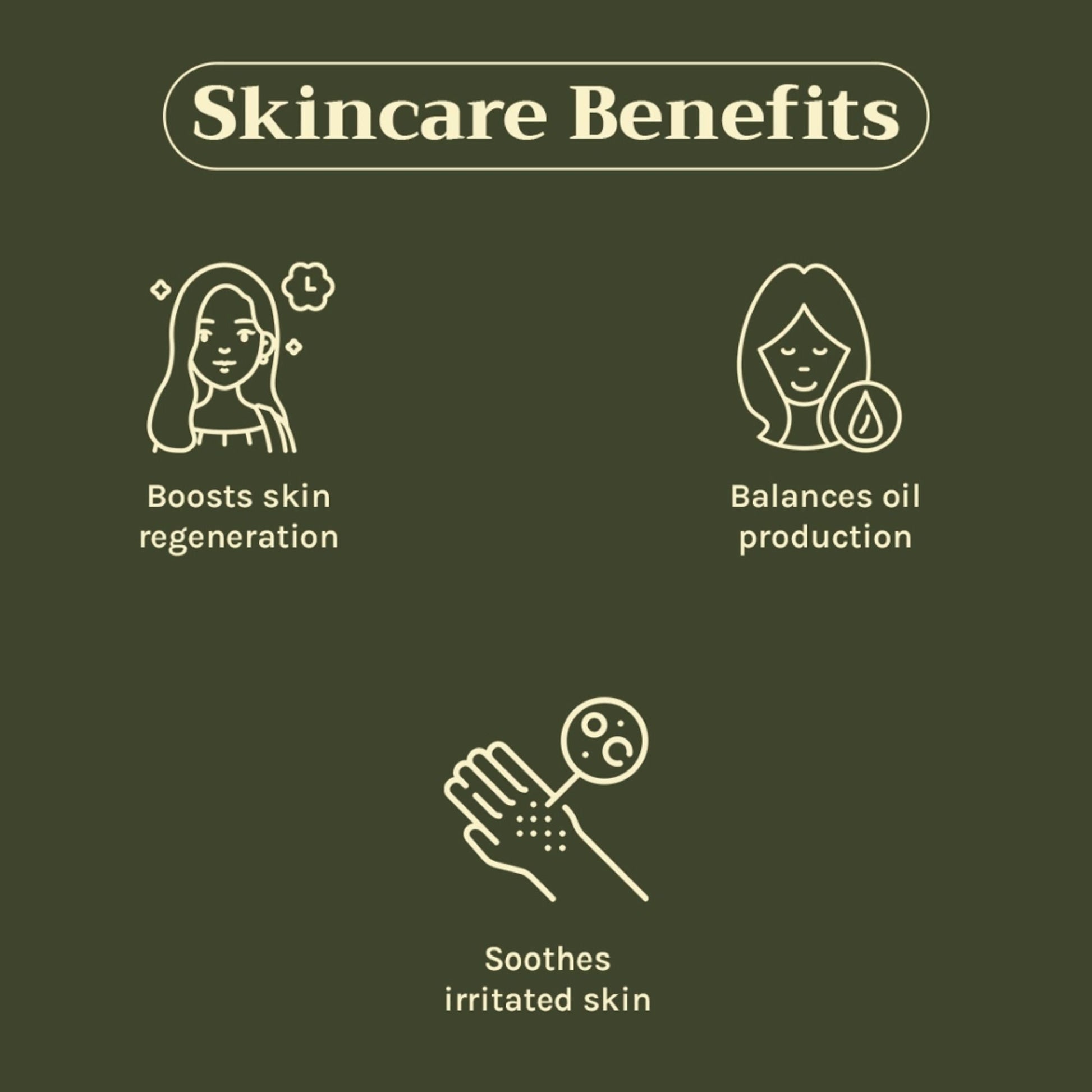 https://cdn.shopify.com/s/files/1/1857/6931/files/c442a268904405941130_3.jpg?v=1769755697