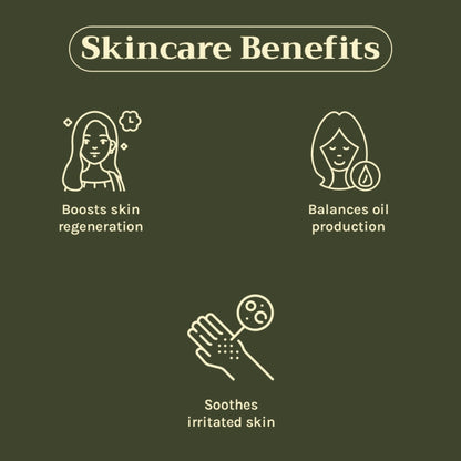 https://cdn.shopify.com/s/files/1/1857/6931/files/c442a268904405941130_3.jpg?v=1769755697