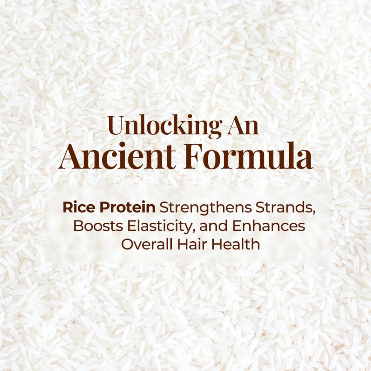 https://cdn.shopify.com/s/files/1/1857/6931/files/c4fa1a48908018010085_5.jpg?v=1773205670
