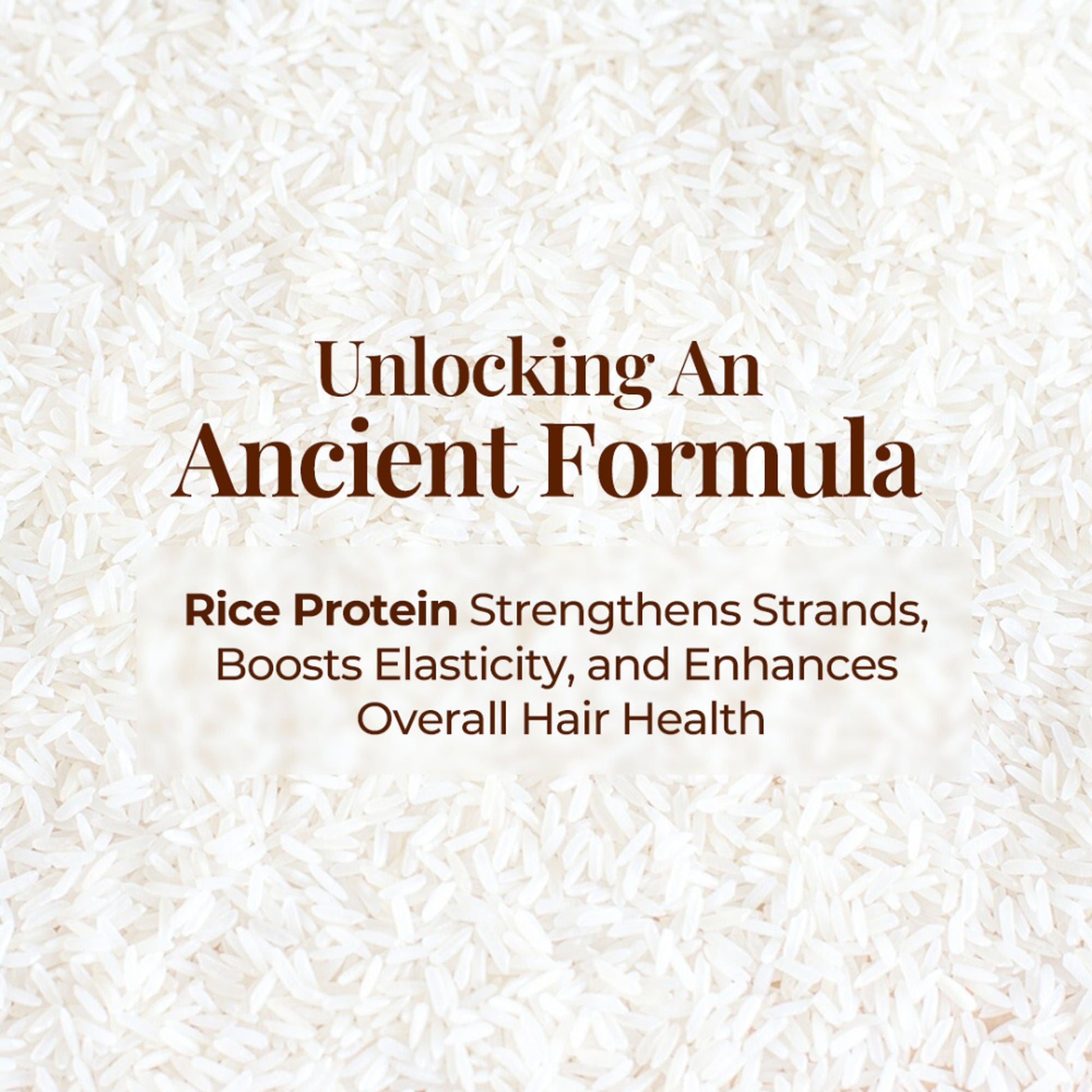 https://cdn.shopify.com/s/files/1/1857/6931/files/c4fa1a48908018010085_5.jpg?v=1773205670